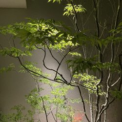 IMG_0310